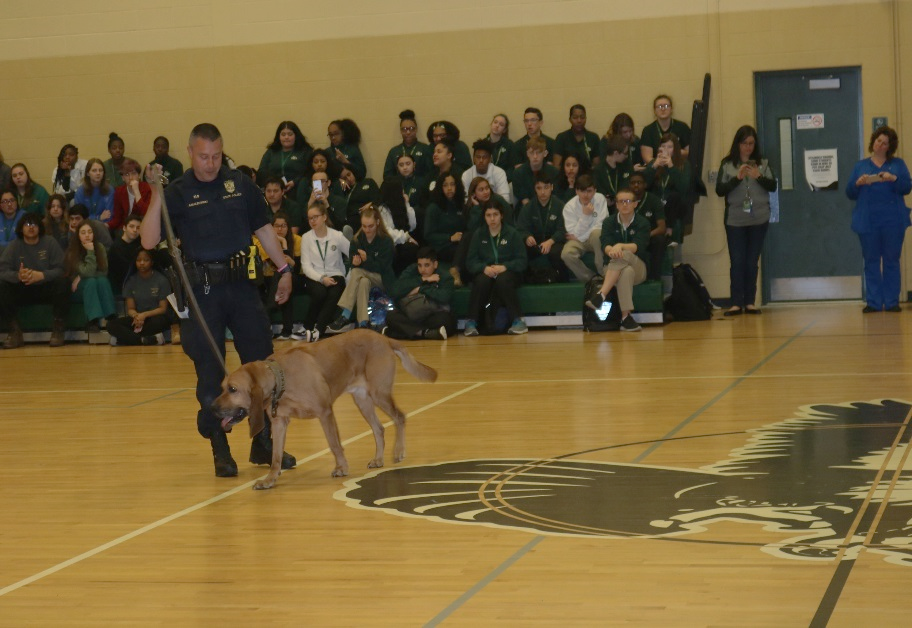 k9 police dog